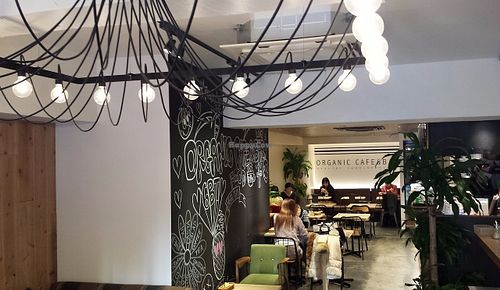 The light fixture in the entryway is cool; kind of reminds me of an octopus. Too bad the food is bland and unsatisfying and the service is atrocious. at Cafe the 6BT in Tokyo