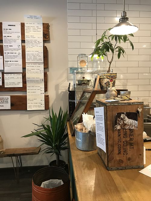 Tiger love at Not Only Juice in Willimantic