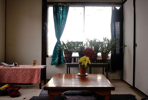 The cafe room on the second floor. Credit: beppueats.wordpress.com at Niconicomura Organic Vegan Food in Beppu