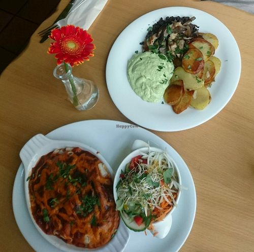 oyster mushrooms and rigatoni al forno at Gruene Kombuese in Rostock