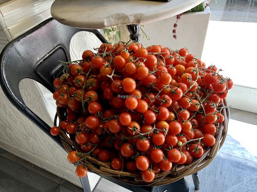 inside at Buddy VEGGY in Rome