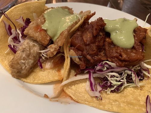 Tempeh taco and bbq jack fruit taco at Speakeasy in Petaluma
