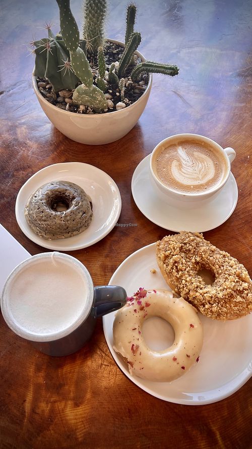 Yum  at Cartems Donuts - Main St in Vancouver