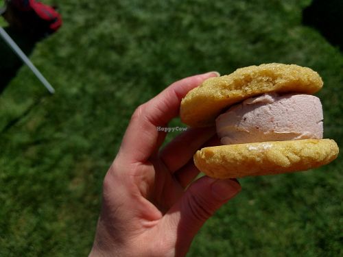 Sugar Cookie with Vanilla Ice Cream at The Cookie Counter in Seattle