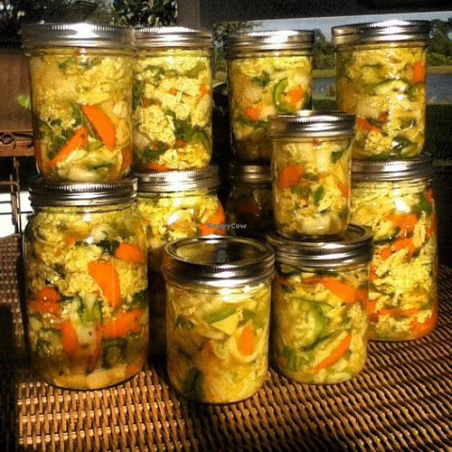 Cultured vegetables along with coconut kefir and coconut kefir pudding available  at Real Food in Viera