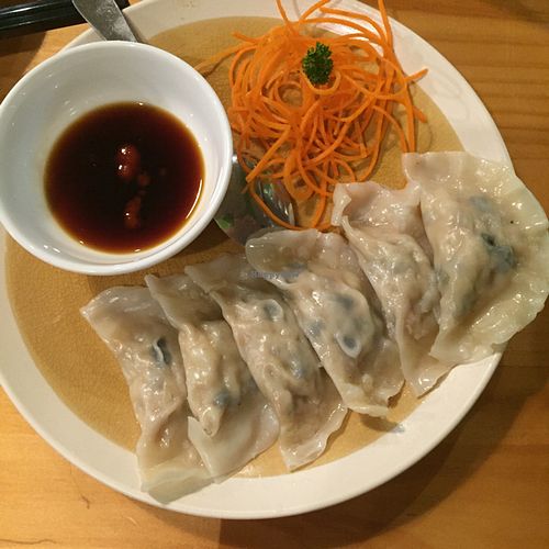 steamed dumplings at Golden Lotus Vegan in Newtown