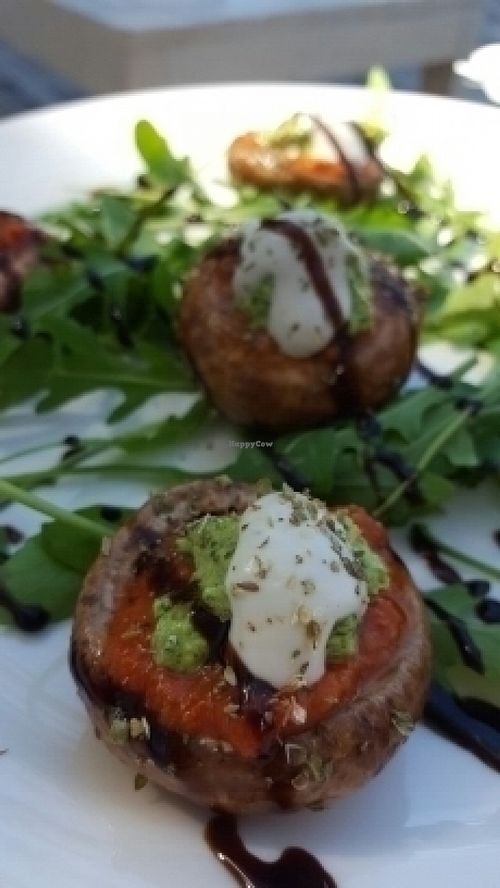 delicious stuffed mushrooms  at Art of Raw at The Garden Lounge in Zadar