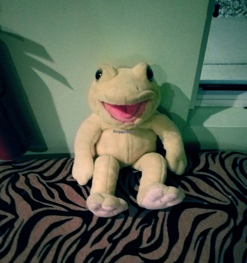 Cute Frog plush near doorway at Kingsway African and Carribean Cuisine in Springfield