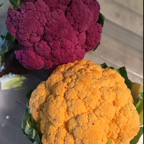 beautiful veg  at PLANTLAB Culinary in Venice