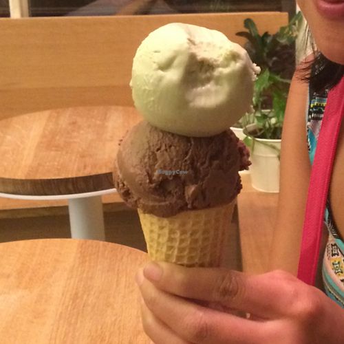 two scoops! at Van Leeuwen Ice Cream - Manhattan Ave in Brooklyn