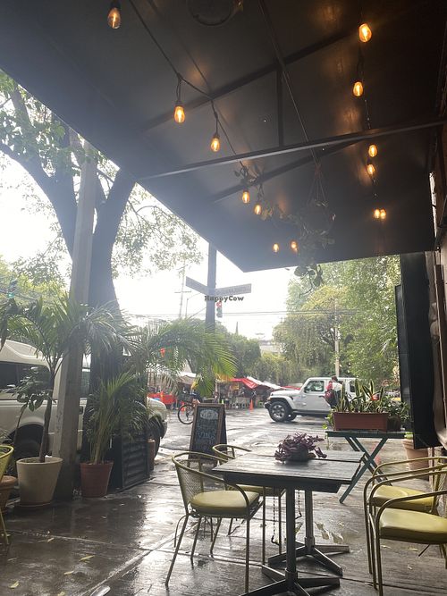 Outdoor seating views  at FOREVER in Mexico City