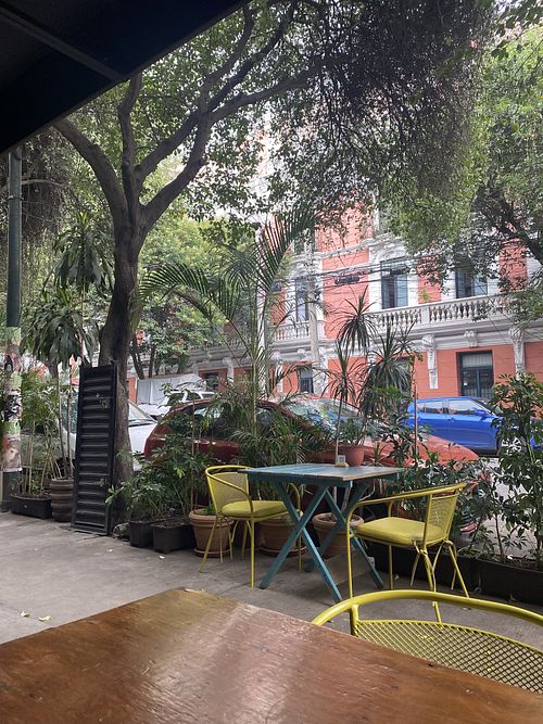 Outdoor Seating Area   at FOREVER in Mexico City