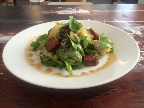 Salate at Zoe Cafe in Prague