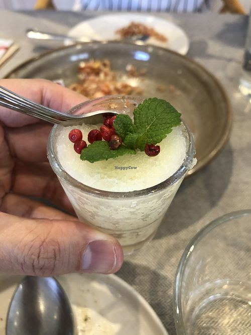 Quorn set: lime pink peppercorn 8/10 at elemen 元素 - Millenia Walk in Central Singapore