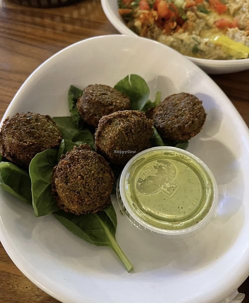 Falafel good but I dislike their tahini sauce   at Shish Mediterranean Kitchen in St Paul