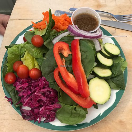 vegan salad at Veronica's Coffee House in Kenai