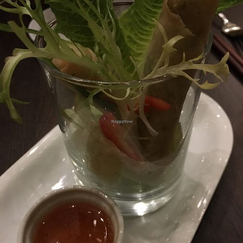 Spring rolls at Herban Fix Vegan Kitchen in Atlanta