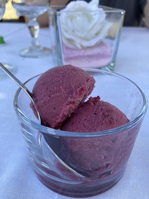 Grape sherbet  at Antica Osteria dell'Abate in San Sebastiano Da Po