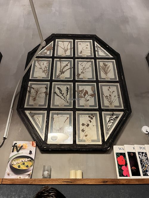   at Botanica Lab in Bologna