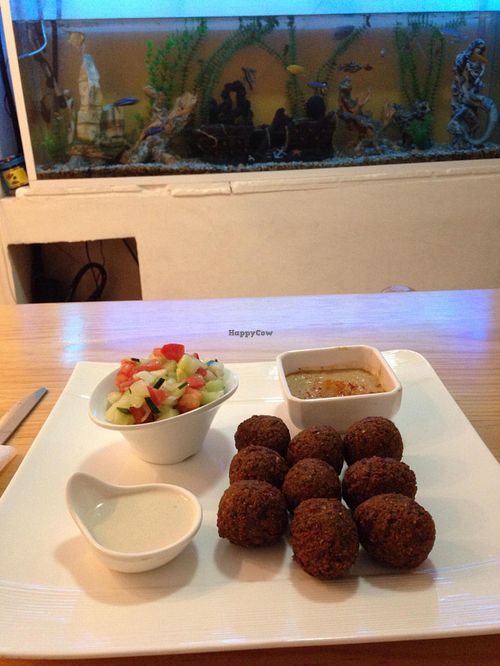 falafel plate  at Cafe Rimon in Cozumel
