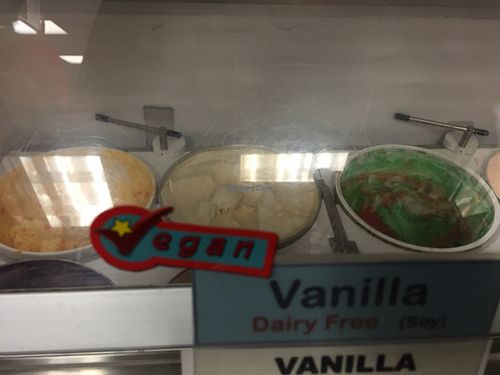 vegan vanilla ice cream at Cool Scoops in North Wildwood