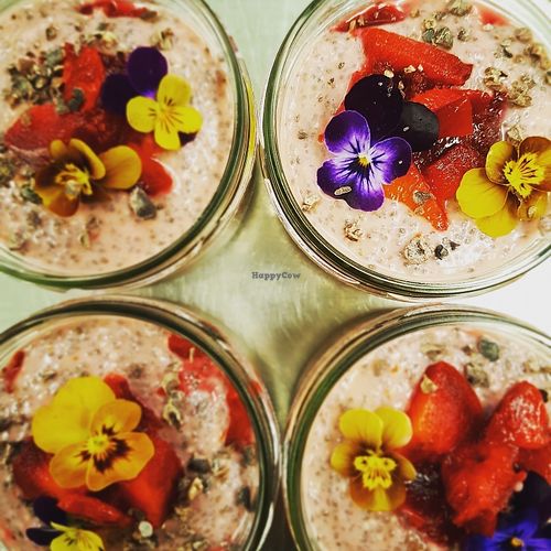 Chia puddings at MOA Bakery Cakery in Oamaru