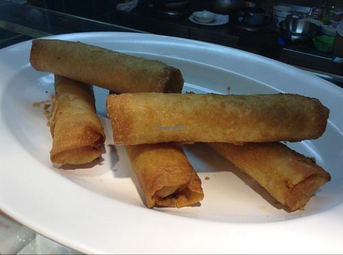 spring rolls at Veggie Fusion in Phuket