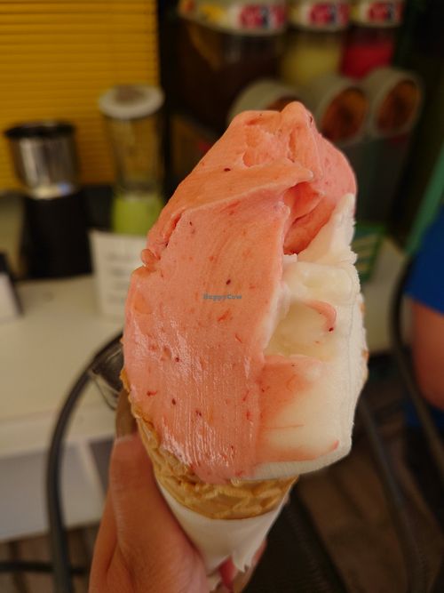 Strawberry and lemon 🍋 siciliano ice cream in the vegan scone - all scones are vegan!!! at Gelateria Italia in Rovinj