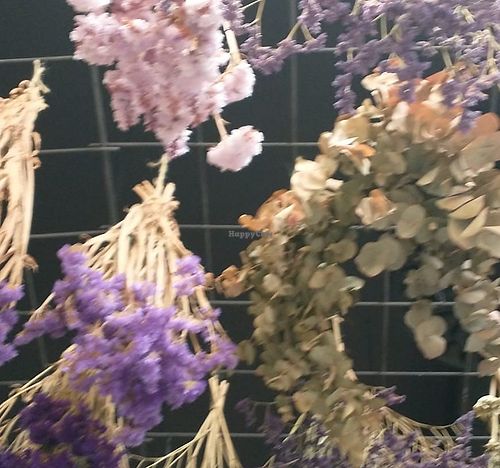 Ceiling at The Green Queen in Stockholm