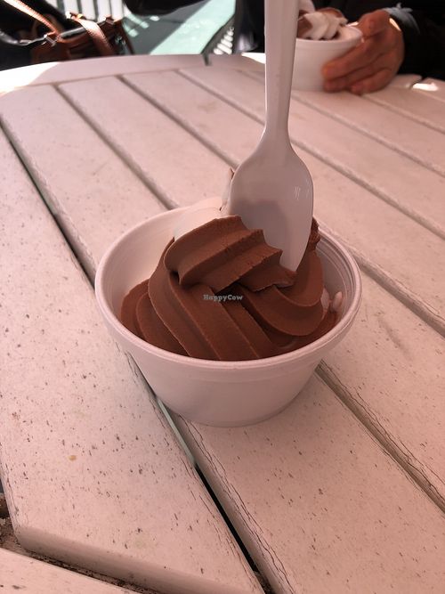 Soft serve!! at CJ's Big Dipper in Bar Harbor