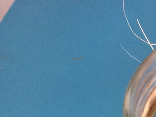 best vegan Pannacotta ever! at Didi Cafe in Albufeira