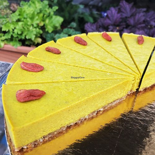 raw vegan at Schondorf Bio Cafe in Bratislava