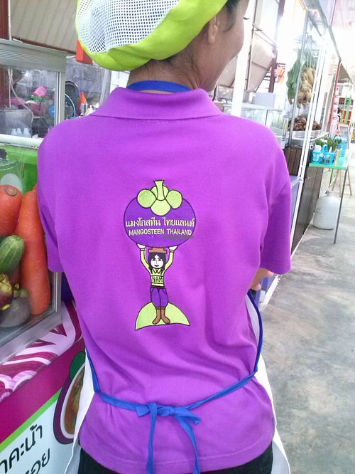 Cute Logo at Nam Mangosteen Thailand  in Ranong