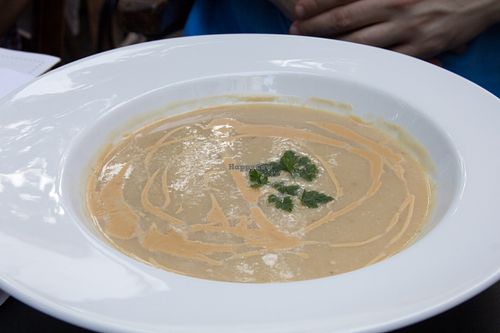 apple celery soup (vegan) at Herzenslust in Saarbrucken