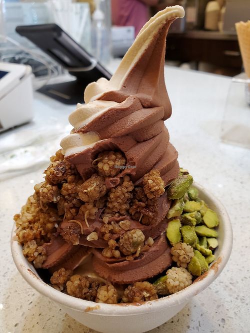 Peanut butter chocolate with pistachio and mulberries at Yoga-urt in Glendale