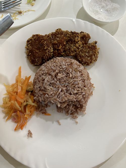 Rice nuggets  at Wellnessland Vegetarian Cafe in Cebu