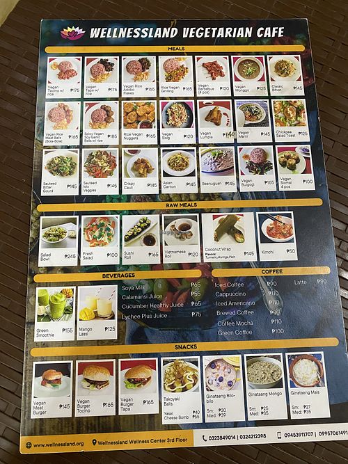 Menu  at Wellnessland Vegetarian Cafe in Cebu