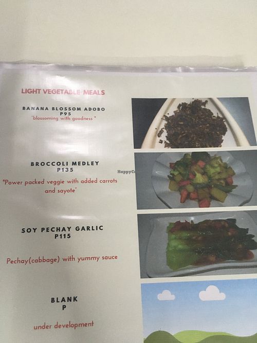 menu at Wellnessland Vegetarian Cafe in Cebu