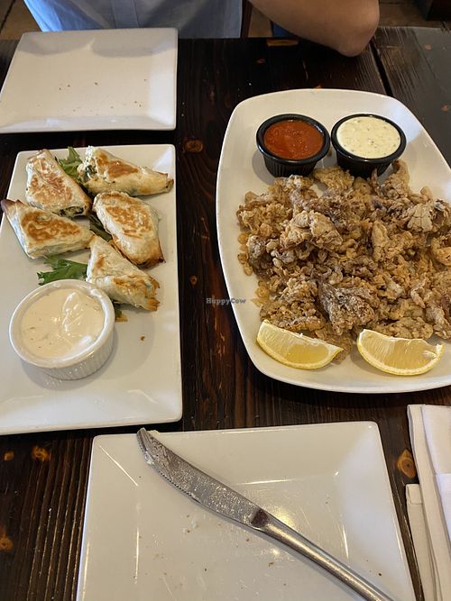 Vegan Spanakopita and calamari  at 3 Brothers Vegan Cafe in Copiague