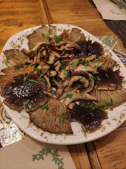 Mushrooms at Verdeando in Denia