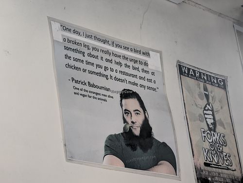 Posters at Loving Hut Caravan in Nelson