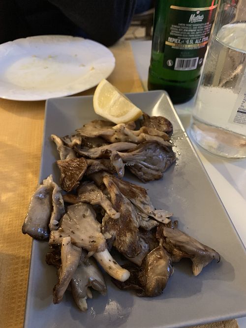 pleurotus (v) - mushrooms  at Kapilio in Crete