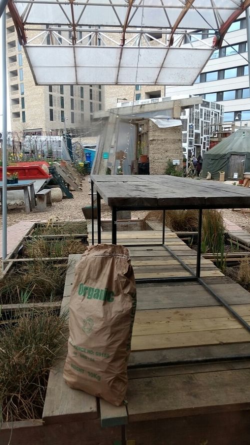 space at Skip Garden Kitchen in London