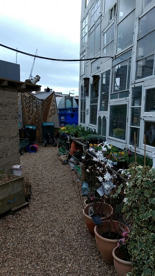 grow at Skip Garden Kitchen in London