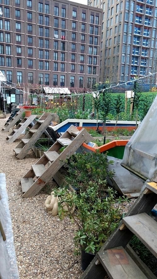 herbs at Skip Garden Kitchen in London