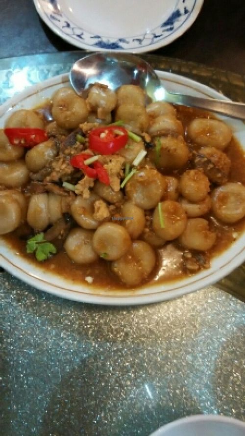 fried 'abacus' at Nature Vegetarian Delights 大自然素食 - Upper Serangoon in Northeast Singapore