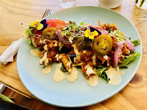   at Flora and Fauna in Fremantle