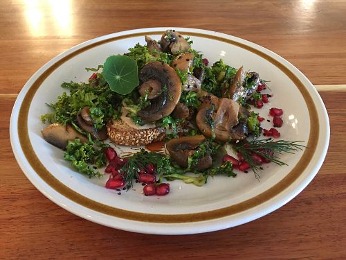 Mushrooms with kale and pomegranate seeds on toast at Foraged in Seddon