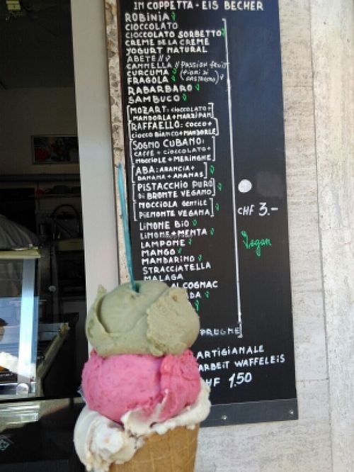 so many vegan flavors! at La Mini Gelateria in Locarno