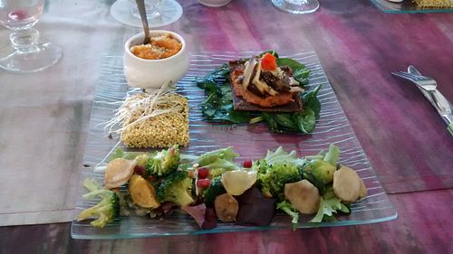 Dish of the day: vegetables, raw quinoa, raw cheese and pie, etc. at Les Delices de Leilla in Albi